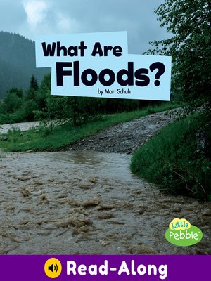 cover image of What Are Floods?